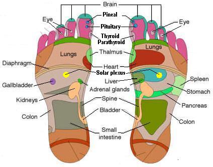 How to reduce high blood pressure reflexology ...